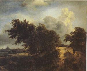 Jacob van Ruisdael The Bush (mk05) France oil painting art